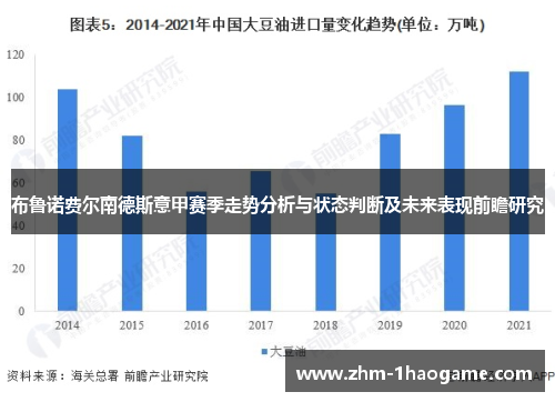 布鲁诺费尔南德斯意甲赛季走势分析与状态判断及未来表现前瞻研究 布鲁诺费尔南德斯意甲赛季走势分析与状态判断及未来表现前瞻研究