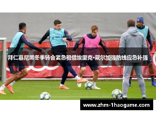 拜仁慕尼黑冬季转会紧急租借埃里克·戴尔加强防线应急补强